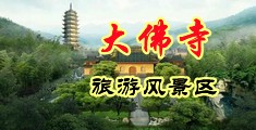 大鸡巴操逼免费电影中国浙江-新昌大佛寺旅游风景区